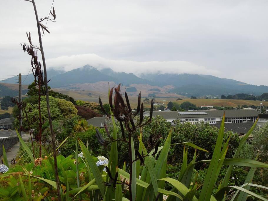 Raglan, Walk To Harbour And Town, Garden Views Apartman Kültér fotó